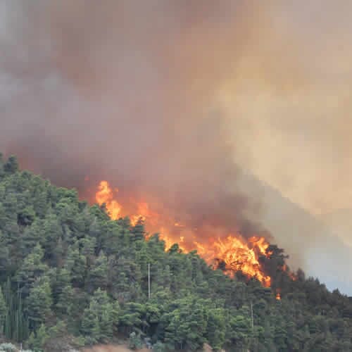 WeatherLink Emergency Response