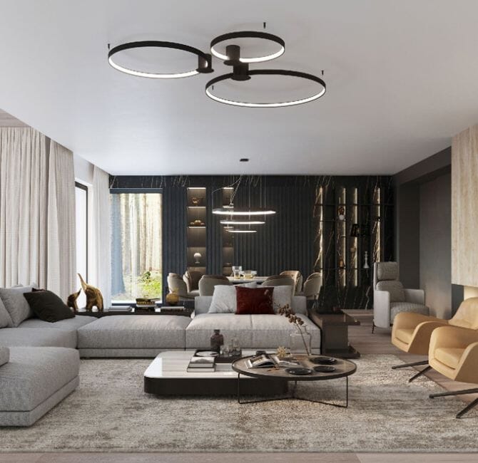 Contemporary Ceiling lights