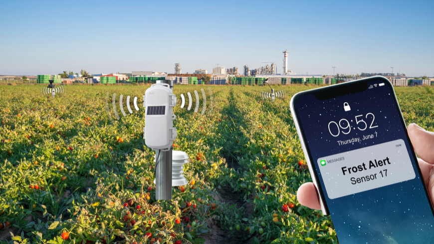 Onset HOBOnet wireless crop monitoring